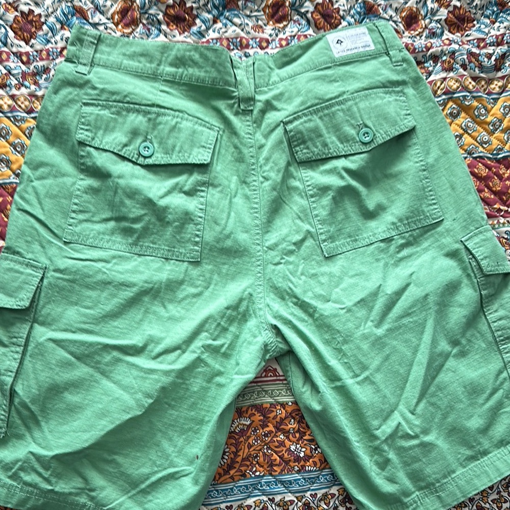 LRG (Lifted Research Group) Shorts Green Size 34